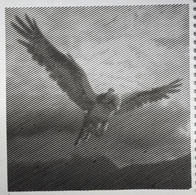 Работа от shishiro