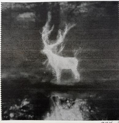 Работа от shishiro