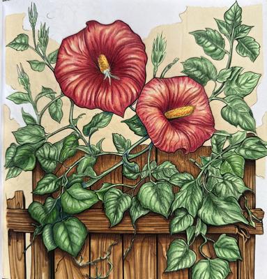 Работа от Окси