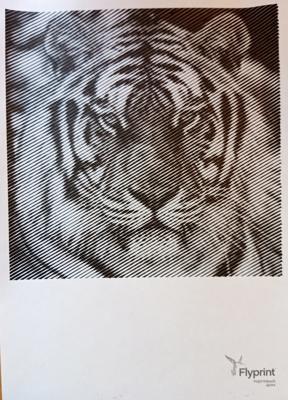 Тигр от Ирина Т.