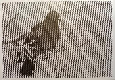 Голубь от Ирина Т.