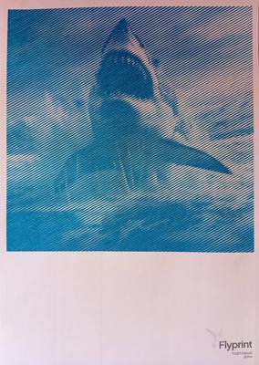 Акула от Ирина Т.