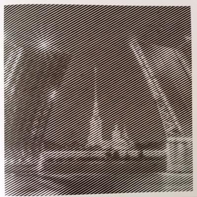 Дворцовый мост (Санкт-Петербург) от Ирина Т.