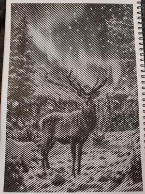 Работа от Светлана