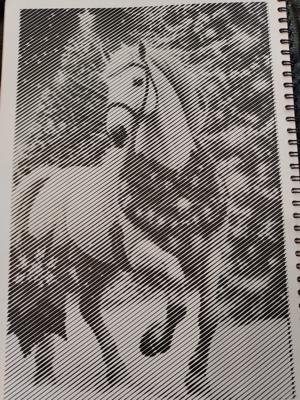 Работа от Светлана