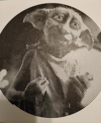 Добби от Светлана