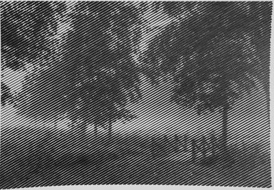 3.1 Природа лета от Melamory