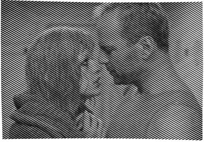 Корбен Даллас и Лилу. Пятый элемент от Melamory