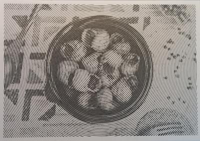 Улитки от Navcitana