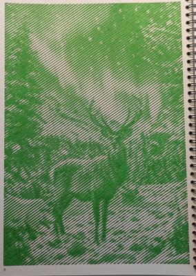 Олежка от Navcitana