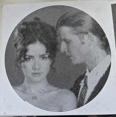 Дикий ангел от Валентина