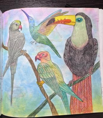 Работа от Avagats