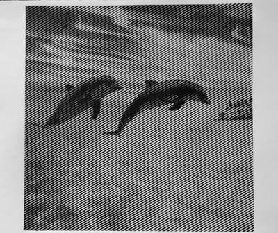 Работа от vale-tina