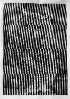 Сова от vale-tina