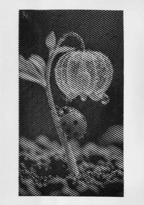 Работа от vale-tina