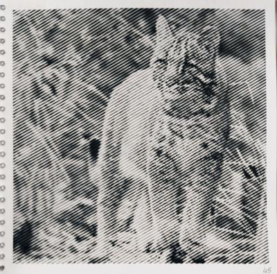 Африканская золотая от vale-tina