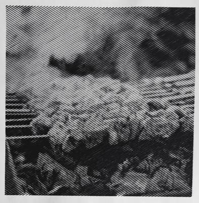 Май от vale-tina