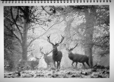 Работа от vale-tina