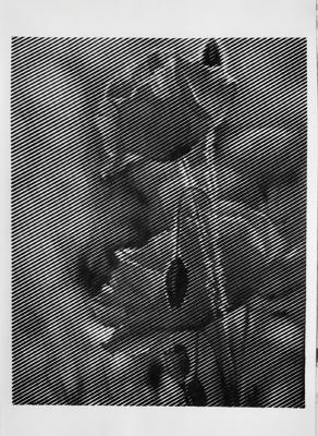 Работа от vale-tina