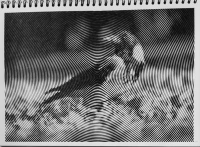 Ворона от vale-tina