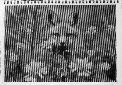 Работа от vale-tina