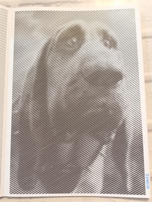 Работа от Elvira