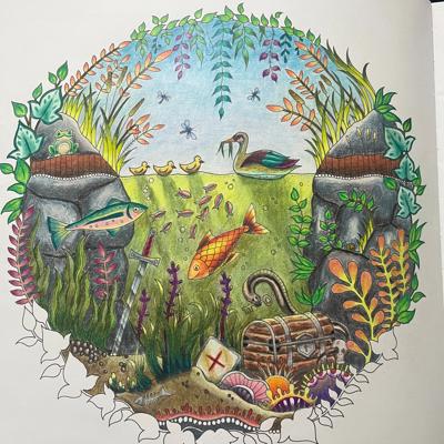 Пруд от Давид