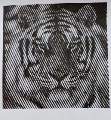 Тигр от Anika Berg