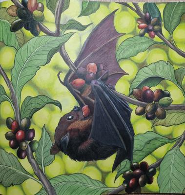 Naked-backed fruit bats от Coloring with Marina