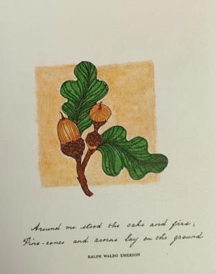 Работа от Helena DevLin