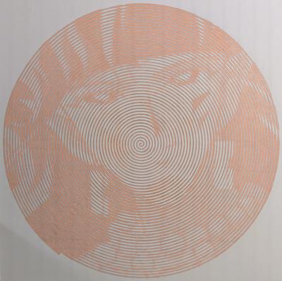 Тигровый глаз от Helena DevLin