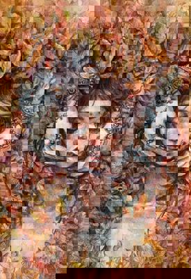 Работа от Александра