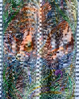 Работа от Александра