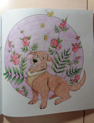 Работа от iriska_hp