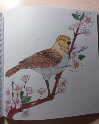 Работа от iriska_hp