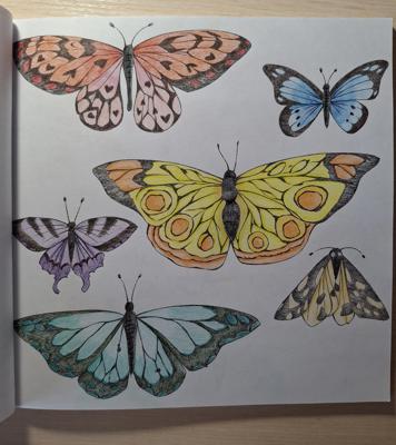 Работа от iriska_hp