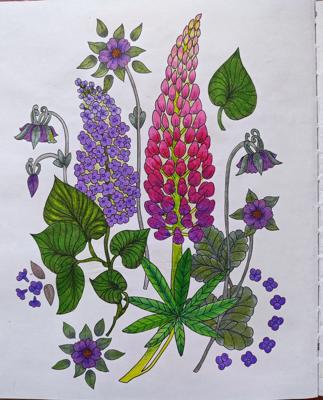 Работа от Stasay83