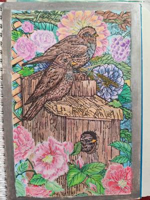 Работа от Stasay83