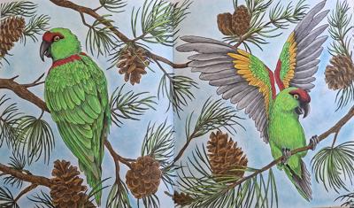 Толстоклювый ара от bazderaa