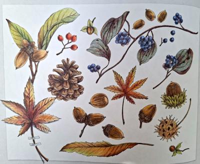 Работа от bazderaa