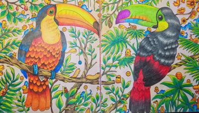 Работа от Baikal_coloring