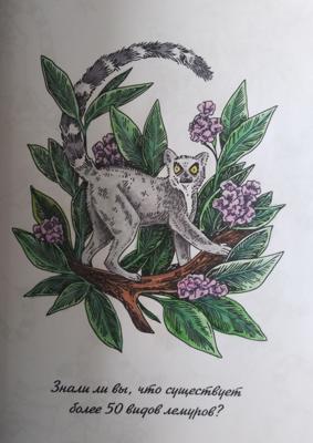 Работа от Tatyanaa