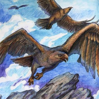 Работа от TinaProl