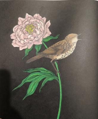 Работа от Kimerisa