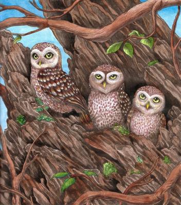 Сычики от Velle E.