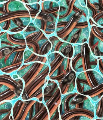 Угри от Velle E.