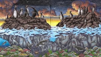 Пингвины от Velle E.