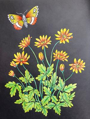 Работа от Jane Miller