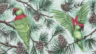 Работа от Veterrochek