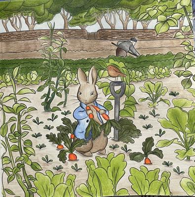 Работа от Nastya Vertal